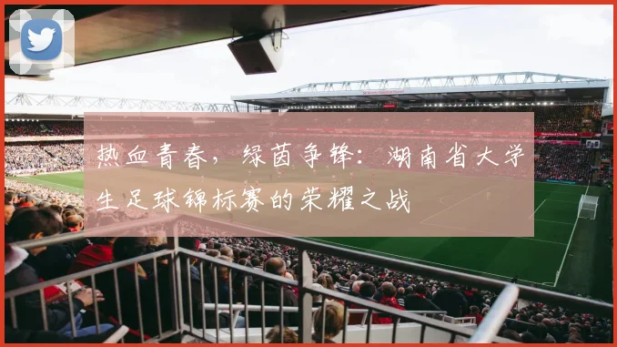 热血青春，绿茵争锋：湖南省大学生足球锦标赛的荣耀之战