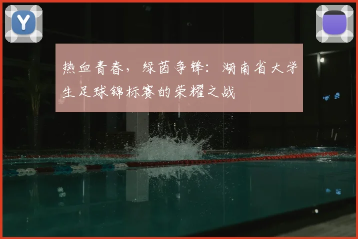 热血青春，绿茵争锋：湖南省大学生足球锦标赛的荣耀之战